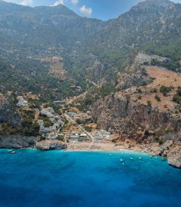 an aerial view of a beach on a mountain at Arkasa Palace in Arkasa