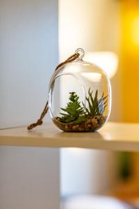 a glass bowl with a plant in it on a shelf at Apartment Grzybowska by Renters in Warsaw
