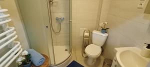 uma casa de banho com um chuveiro, um WC e um lavatório. em Apartament Granatowy Świętoduska 12 em Lublin