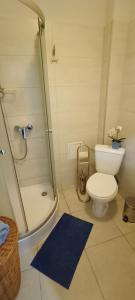 une salle de bain avec une douche, des toilettes et un lavabo dans l'établissement Apartament Granatowy Świętoduska 12, à Lublin