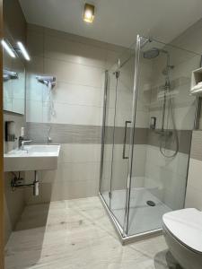 a bathroom with a shower and a sink and a toilet at Albergo Aida in Luxembourg