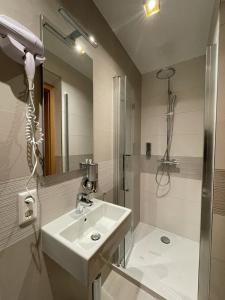 een badkamer met een wastafel en een douche bij Albergo Aida in Luxemburg