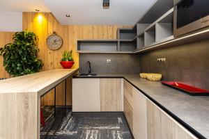 Kuchyň nebo kuchyňský kout v ubytování Apartmány U Vinice