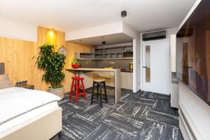 Köök või kööginurk majutusasutuses Apartmány U Vinice