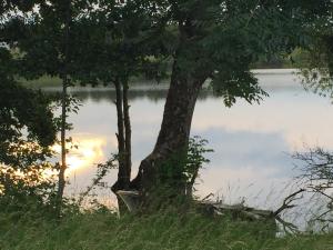 Naturlandschaft in der Nähe des Ferienhauses