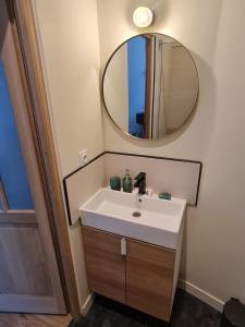 a bathroom with a sink and a mirror at Le Petit Roche in Roche-la-Molière