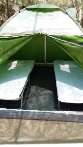 a green tent with two beds in it at Camping Paleochora in Palaiochóra
