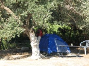 a blue tent sitting next to a tree at Camping Paleochora in Palaiochóra