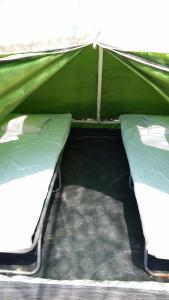 a green tent with two beds in it at Camping Paleochora in Palaiochóra