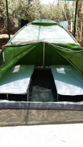 a green tent with two beds in it at Camping Paleochora in Palaiochora