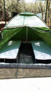 a green tent with two beds in it at Camping Paleochora in Palaiochóra