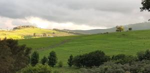 Gallery image of Little Fields Country House and Cottages in Howick