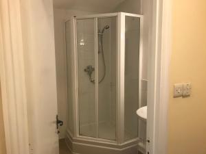 La salle de bains est pourvue d'une douche avec une porte en verre. dans l'établissement The Swan Inn Newport, à Newport