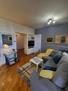 TV a/nebo společenská místnost v ubytování Premium apartment Sunny + 11 fotografií