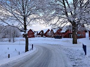 a snow covered road with trees and houses at Apartmány Na vršku in Dolní Moravice