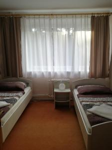 1 Schlafzimmer mit 2 Betten und einem Fenster mit Vorhängen in der Unterkunft Hotel Astra in Tuchlovice