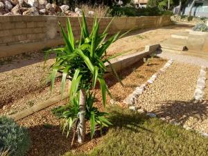 Fotografia z galérie ubytovania Hvar Apartment v destinácii Zavala