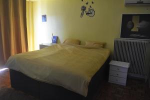 Ένα ή περισσότερα κρεβάτια σε δωμάτιο στο Spacious Apartment with Balconies, AC, king bed, near DT and transports