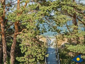 Una pasarela a través de los árboles de la playa en Residenz Bellevue Whg 13, en Bansin 12 fotos más