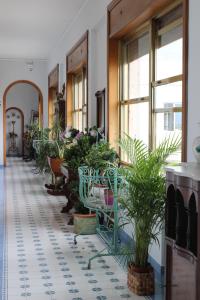 un couloir rempli de plantes en pot dans un bâtiment dans l'établissement Casa Prunilla, à Sarno