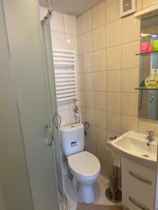 Kúpeľňa v ubytovaní Domki Camping Harenda