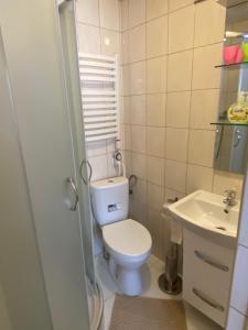 Kúpeľňa v ubytovaní Domki Camping Harenda