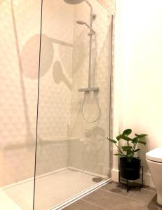 La salle de bains est pourvue d'une douche avec une porte en verre. dans l'établissement 'The Kepties' Luxurious Serviced Apartments, à Arbroath
