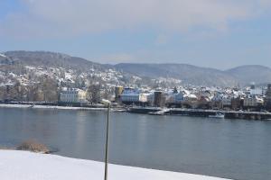 a view of a city with a river and buildings at RheinHotel ARTE in Remagen