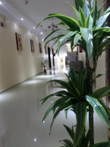 un corridoio con una pianta in un edificio di Lara Al Jawf Hotel Apartments a Sakakah