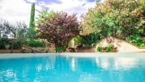 einen Pool mit blauem Wasser und Bäumen in der Unterkunft Villamena in Spello