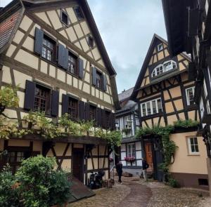 a group of half timbered houses in a town at Ferienwohnung St Marien in Gengenbach