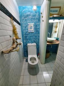 TI diamant CHERRY في لو ديامانت: حمام مع مرحاض بجدار ازرق