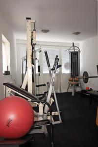 Fitness centrum a/nebo fitness zařízení v ubytování Apartman Diana