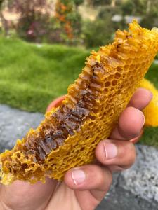 民宿内部或周边提供的食物