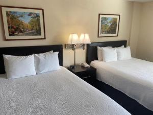 a hotel room with two beds and two lamps at University Inn Duke in Durham