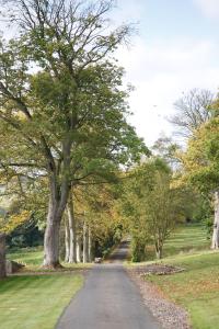 una carretera con árboles al lado de un parque en Balmule House, en Dunfermline