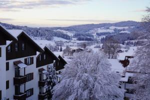 Ferienwohnung Ausblick v zimě