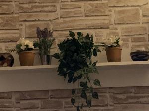 Foto Budapestis asuva majutusasutuse Apartment Simon galeriist