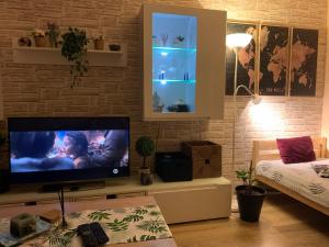 Televiisor ja/või meelelahutuskeskus majutusasutuses Apartment Simon
