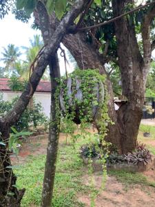Giardino di Sobha Holiday Home
