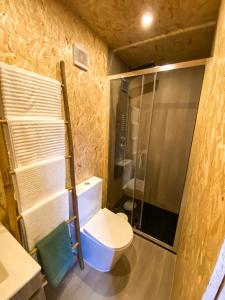 a small bathroom with a toilet and a shower at Pichoses Gerês Camping in Rio Caldo