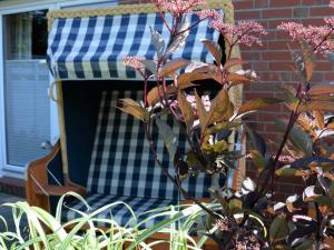 a blue and white checkered blanket sitting on a chair at Ferienhaus 8erwassereck in Ueckeritz