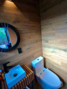 a bathroom with a toilet and a sink and a mirror at Tinyhouse da Floresta in Urubici