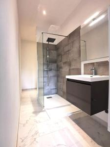 La salle de bains est pourvue d'une douche en verre et d'un lavabo. dans l'établissement Lovely T2 - Proche du CHU LIMOGES, à Isle