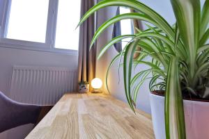 伊澤爾的住宿－Lovely T2 - Proche du CHU LIMOGES，木桌,上面有盆栽植物