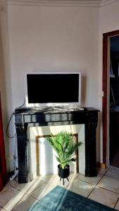 a tv sitting on top of a fireplace with a plant at Sympa Appartement avec 2 chambres séparées in Persan