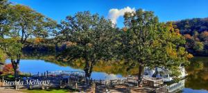 OregonにあるPaddle Wheel Innの木々とボートが並ぶ湖の景色