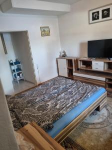 ein Schlafzimmer mit Bett und Flachbildfernseher in der Unterkunft FeWo Teusch Top1 in Arnoldstein