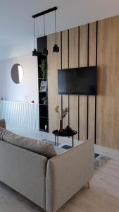 a living room with a couch and a tv at Veles Apartments in Sibiu
