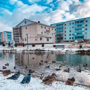 a group of ducks in the water in front of buildings at Hotel Akvamarin in Leninogorsk